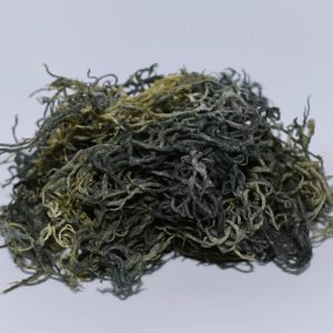 Bionove-puur-green-seamoss-groene-sea-moss-saint-lucia-vegan-organic